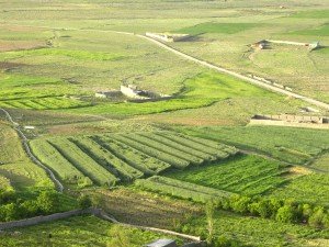 landscape-78228
