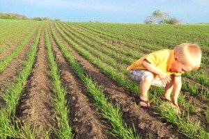 Connecting with Family Owned Farms