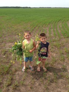 Little Helpers